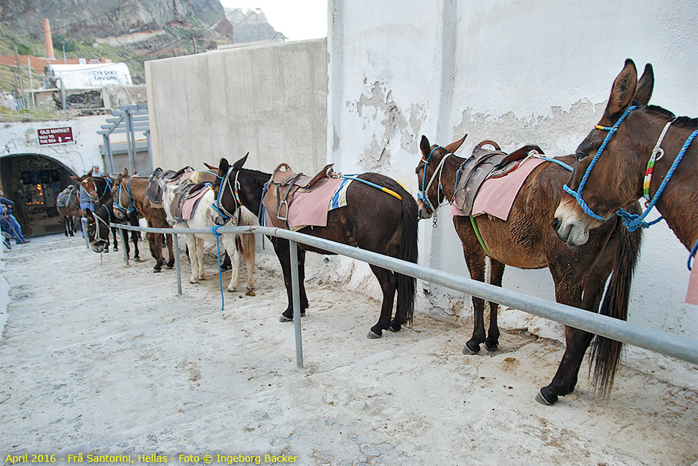 Frå Santorini, Hellas