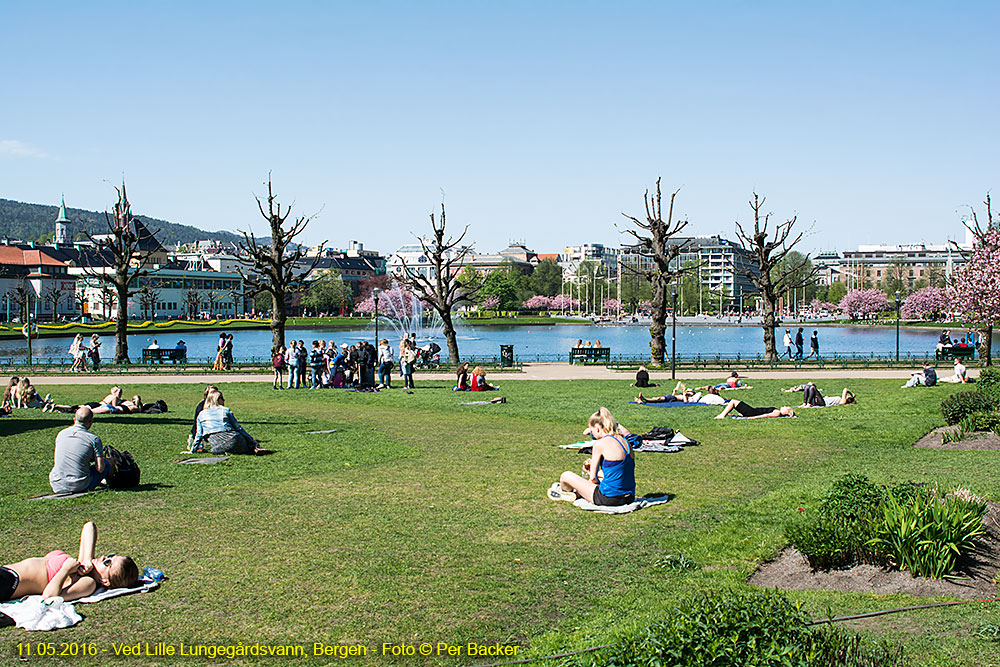 Ved Lille Lungegårdsvann