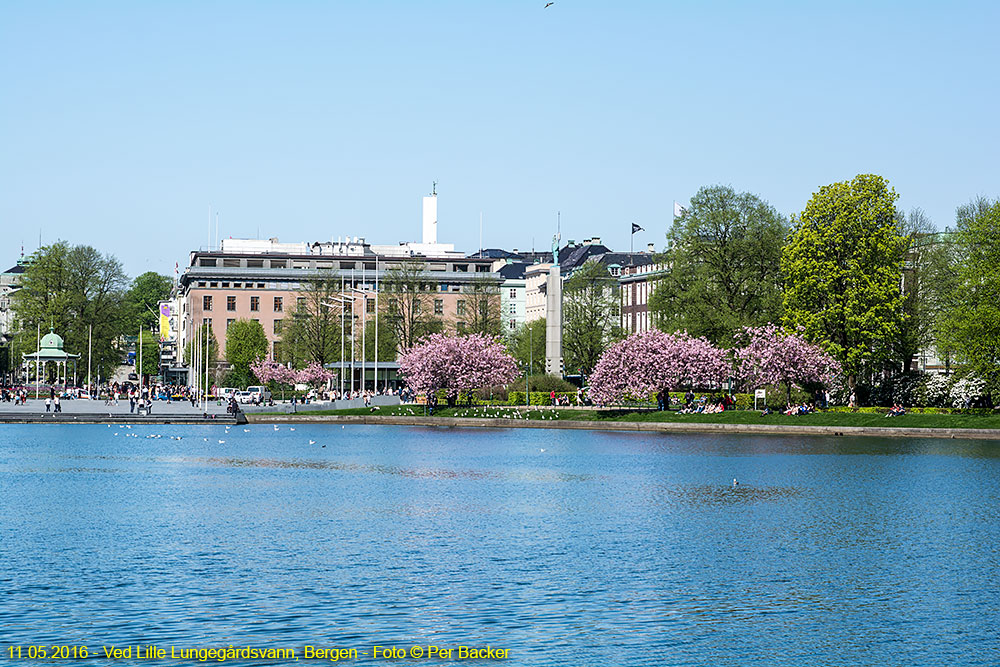 Ved Lille Lungegårdsvann