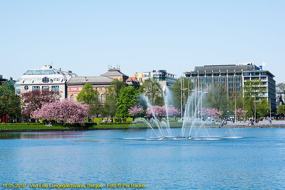 Ved Lille Lungegårdsvann