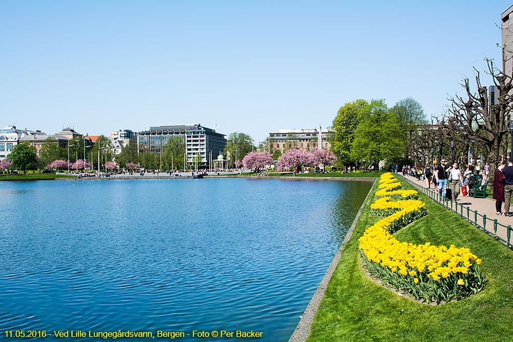 Ved Lille Lungegårdsvann