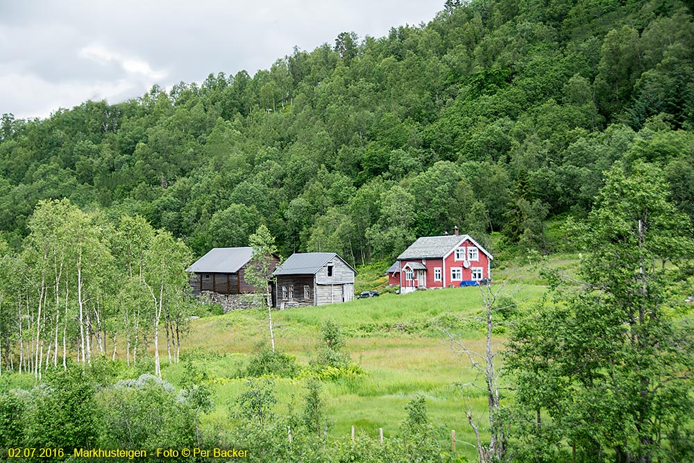 Markhusteigen