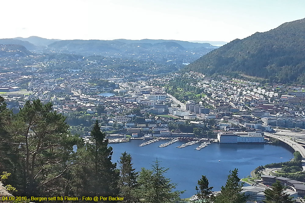 Bergen sett frå Fløien