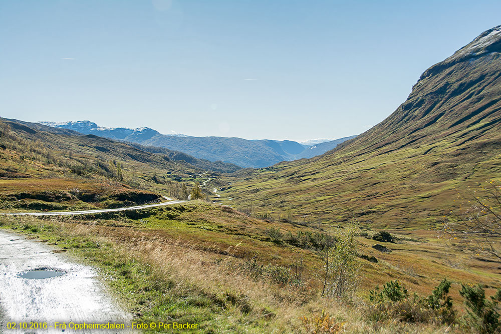 Frå Oppheimsdalen