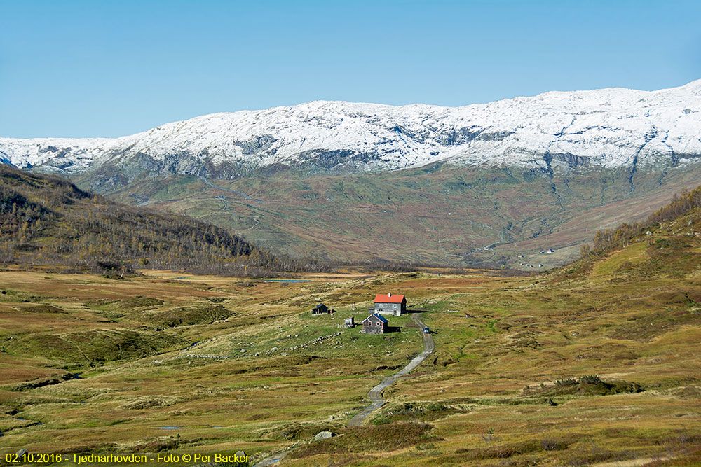 Tjødnarhovden