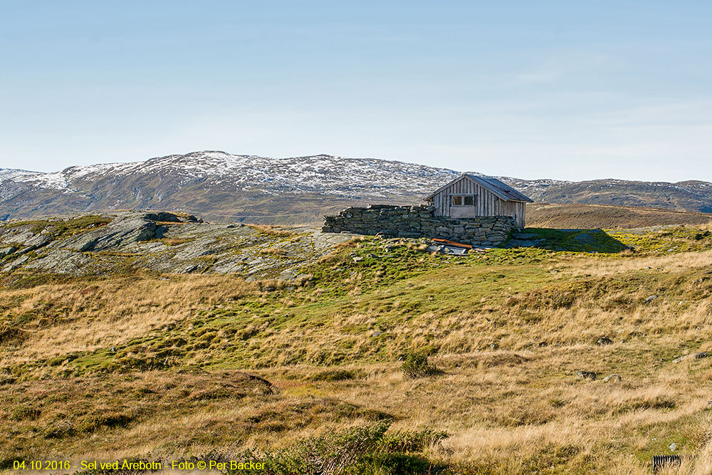 Sel ved Årebotn