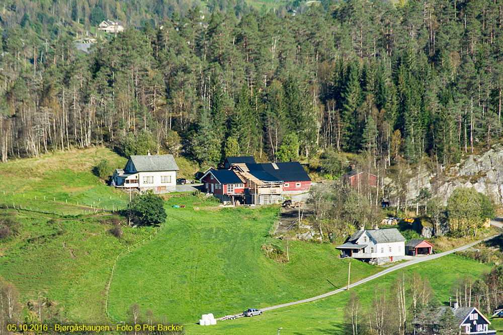 Bjørgåshaugen