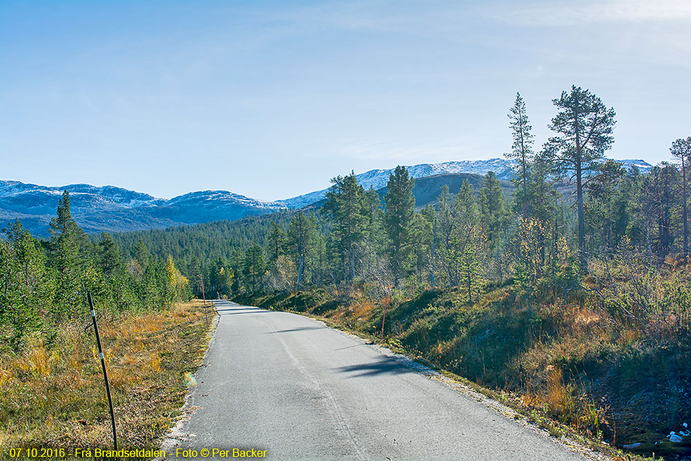 Frå Brandsetdalen