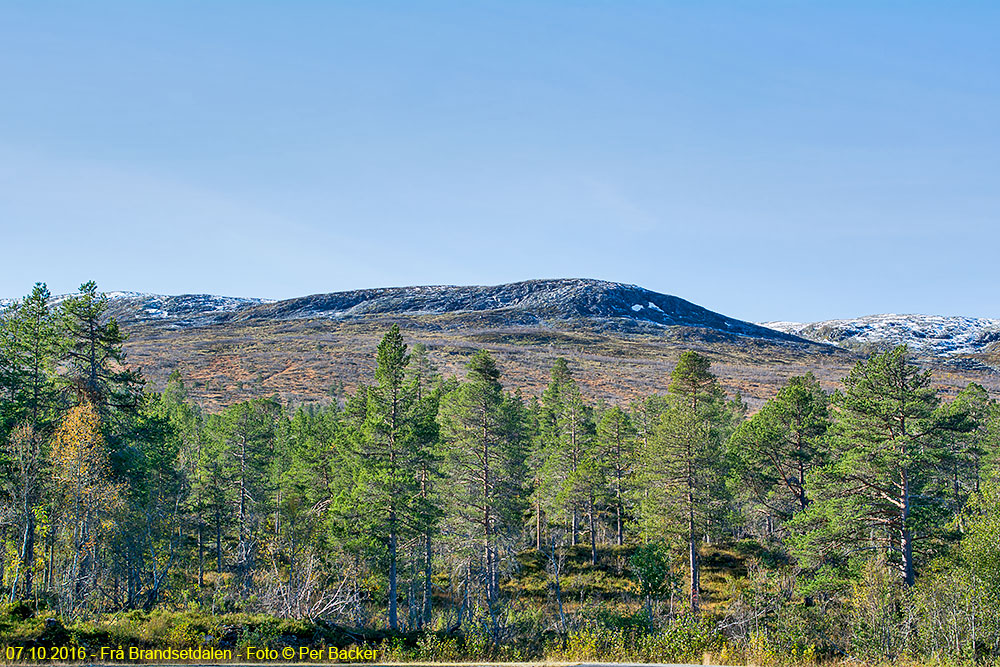 Frå Brandsetdalen