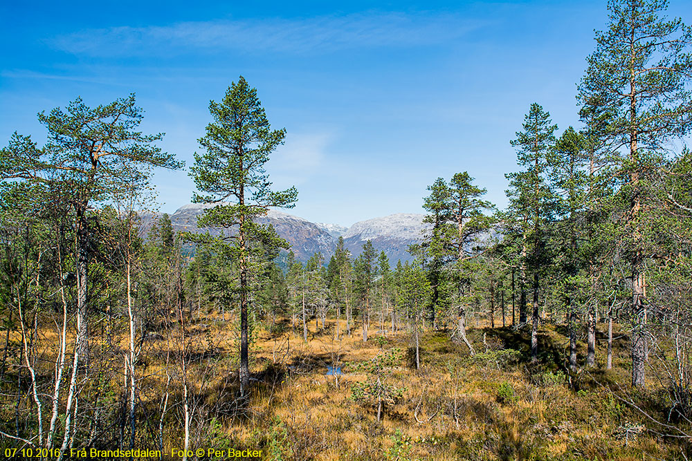 Frå Brandsetdalen