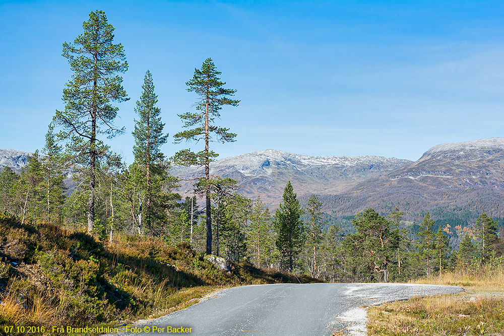 Frå Brandsetdalen