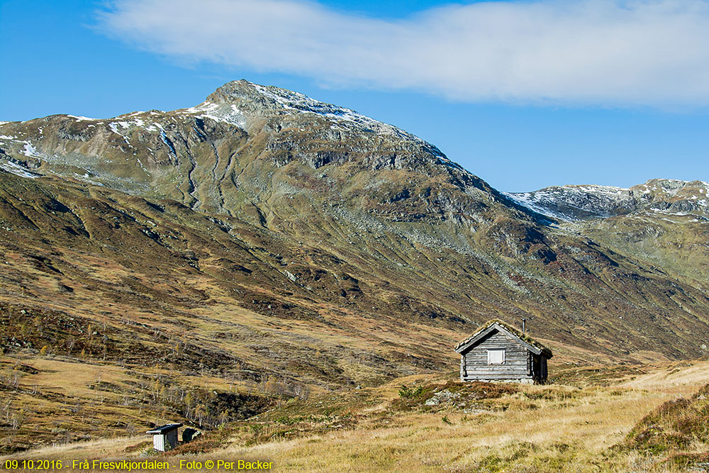 Frå Fresvikjordalen