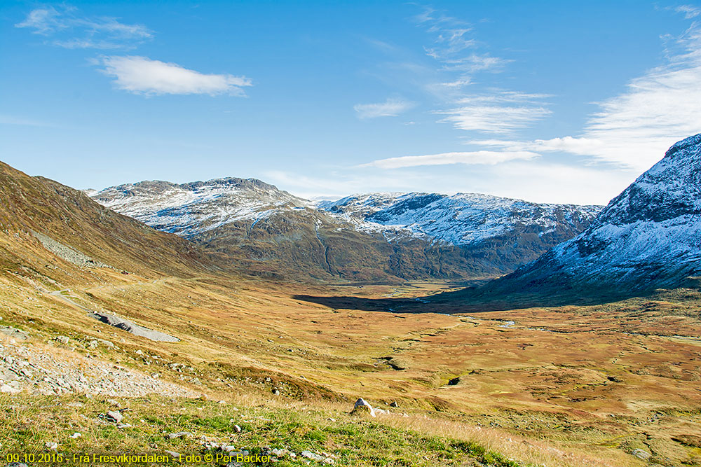 Frå Fresvikjordalen