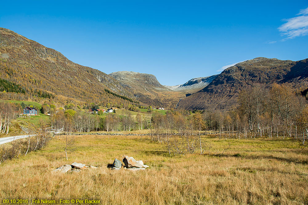 Frå Nåsen