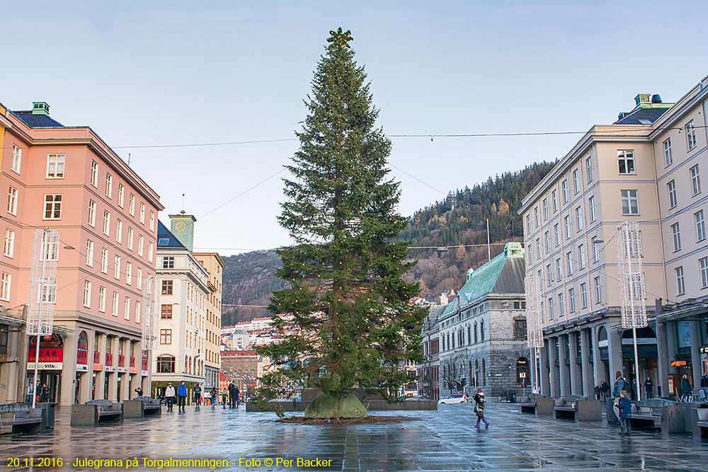 Julegrana på Torgalmenningen