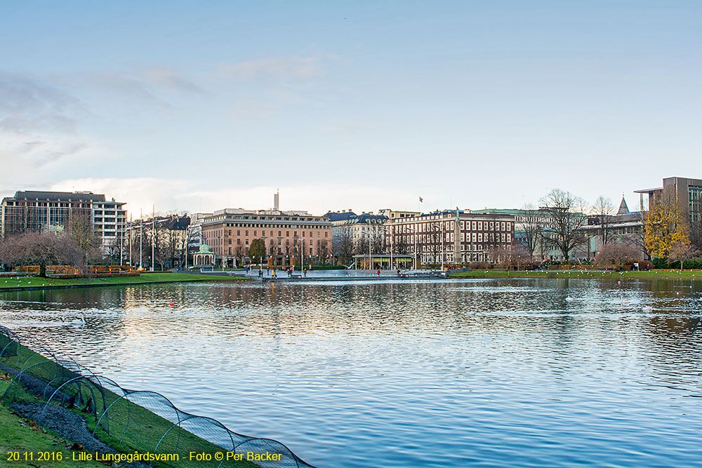 Lille Lungegårdsvann