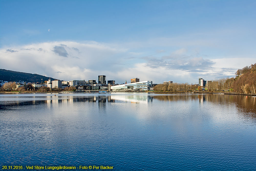Store Lungegårdsvann