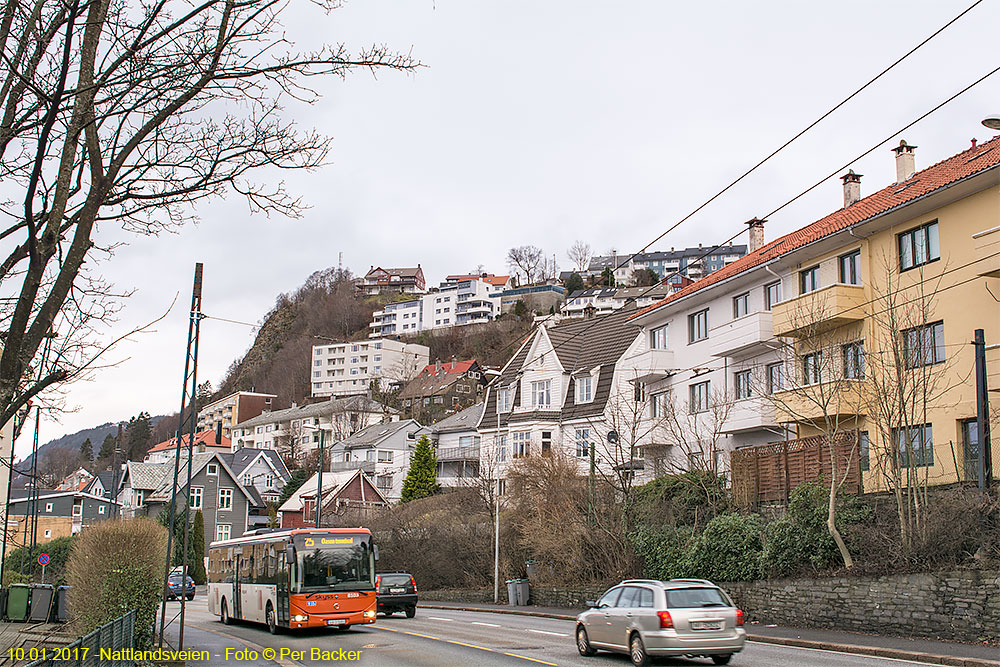 Frå Nattlandsveien
