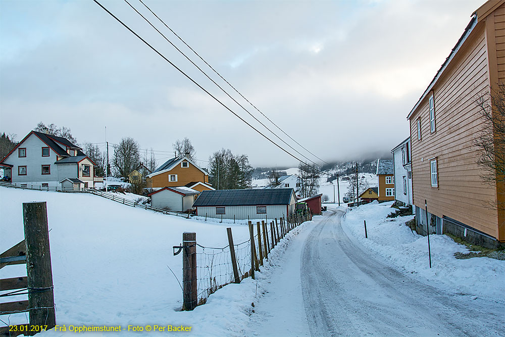 Frå Oppheimstunet