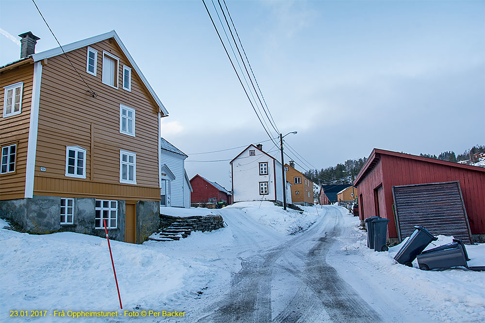 Frå Oppheimstunet