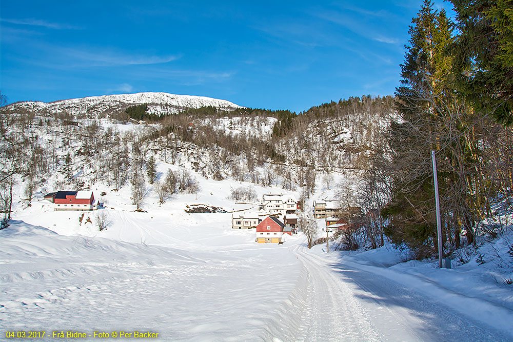 Frå Bidne