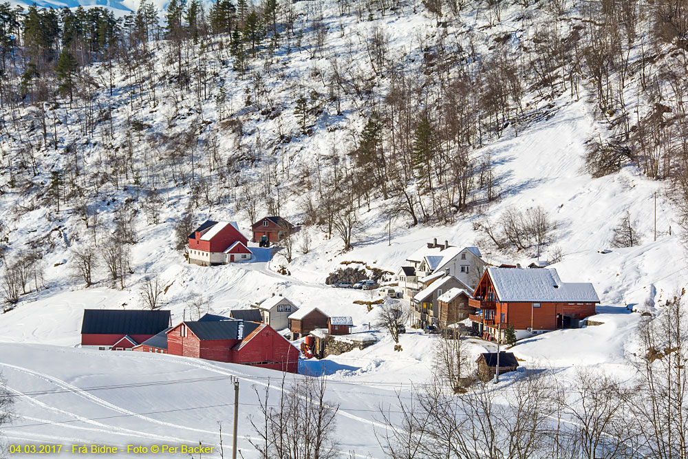 Frå Bidne