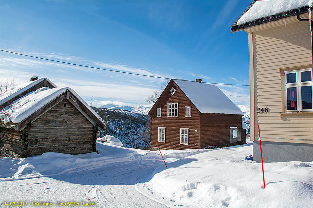 Frå Finne