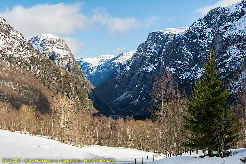 Mot Jordalsnuten og Nærøydalen