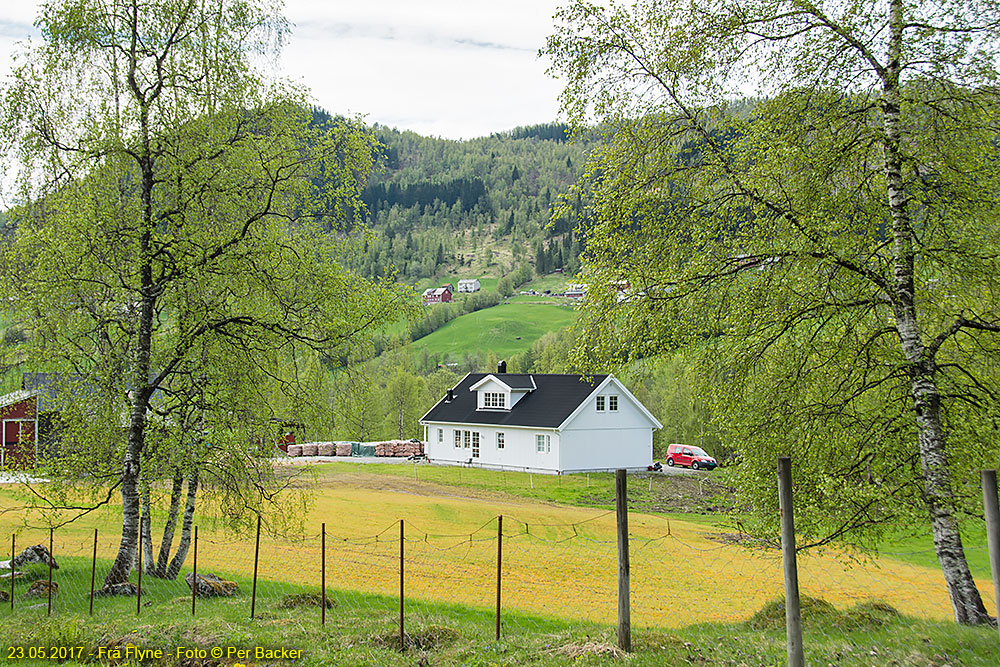 Frå Flyne