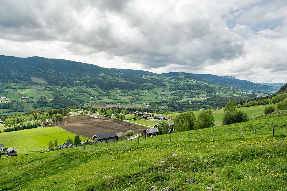 Frå Ringebu, Gudbrandsdalen