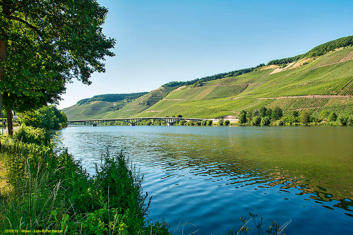 Mosel