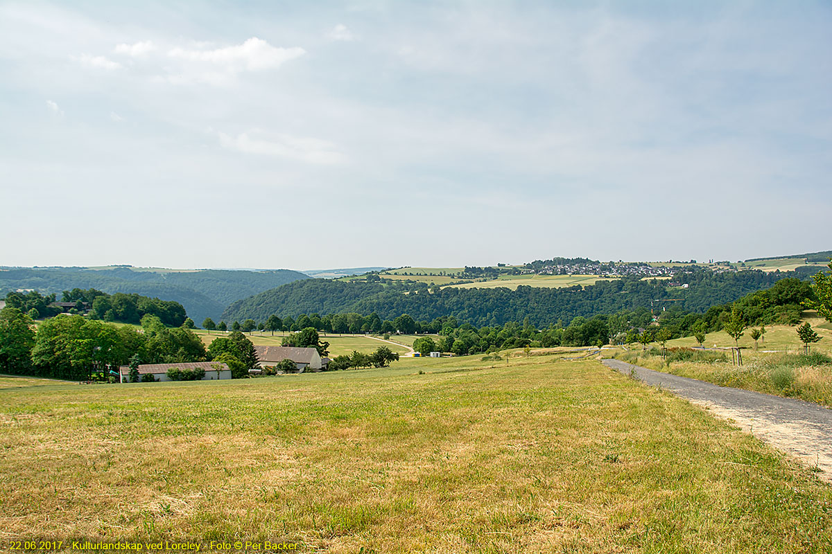 Kulturlandskap ved Loreley