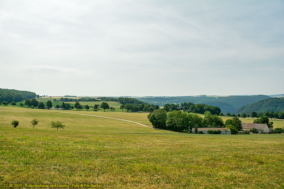 Kulturlandskap ved Loreley