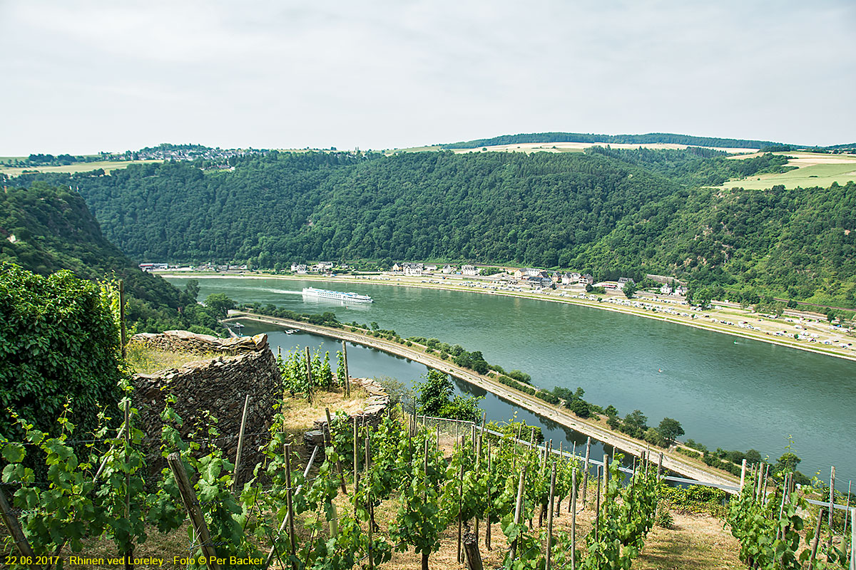 Rhinen ved Loreley
