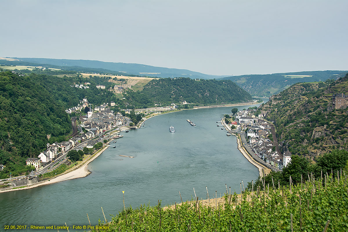 Rhinen ved Loreley