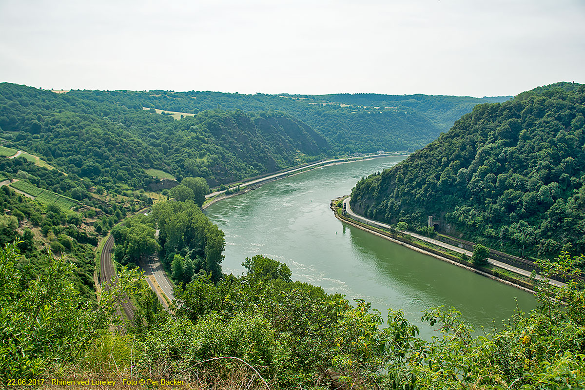 Rhinen ved Loreley