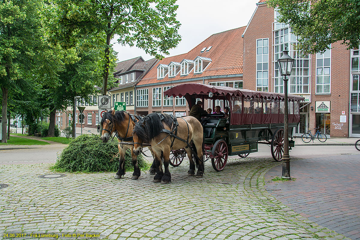 Frå Lüneburg