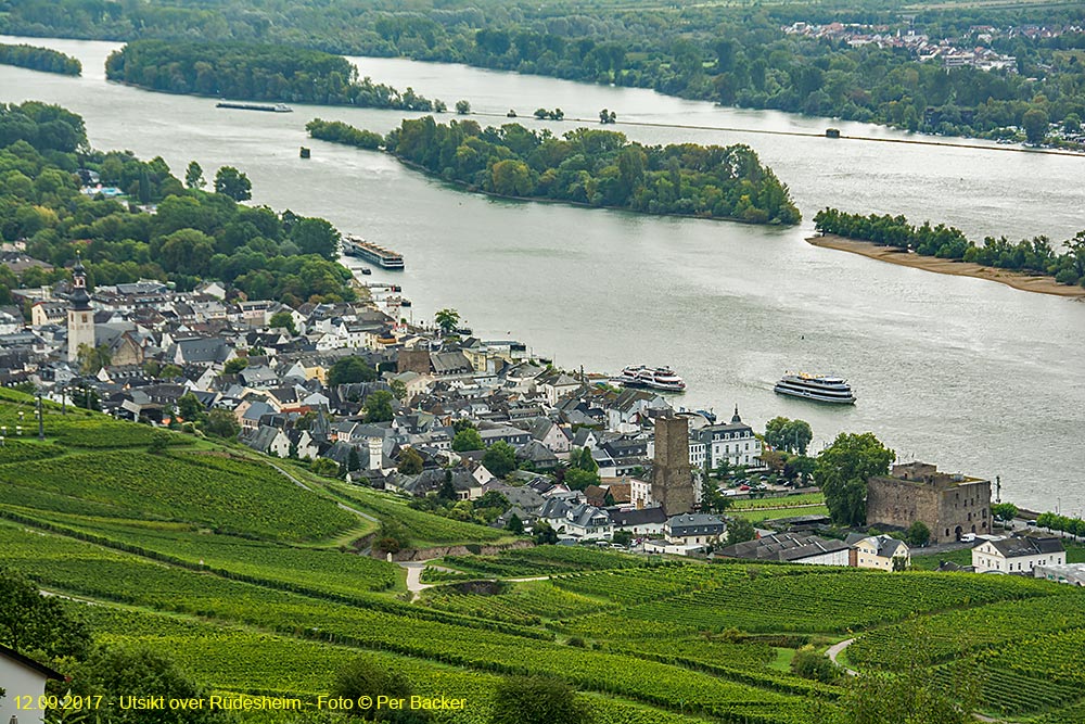 Utsikt over Rüdesheim