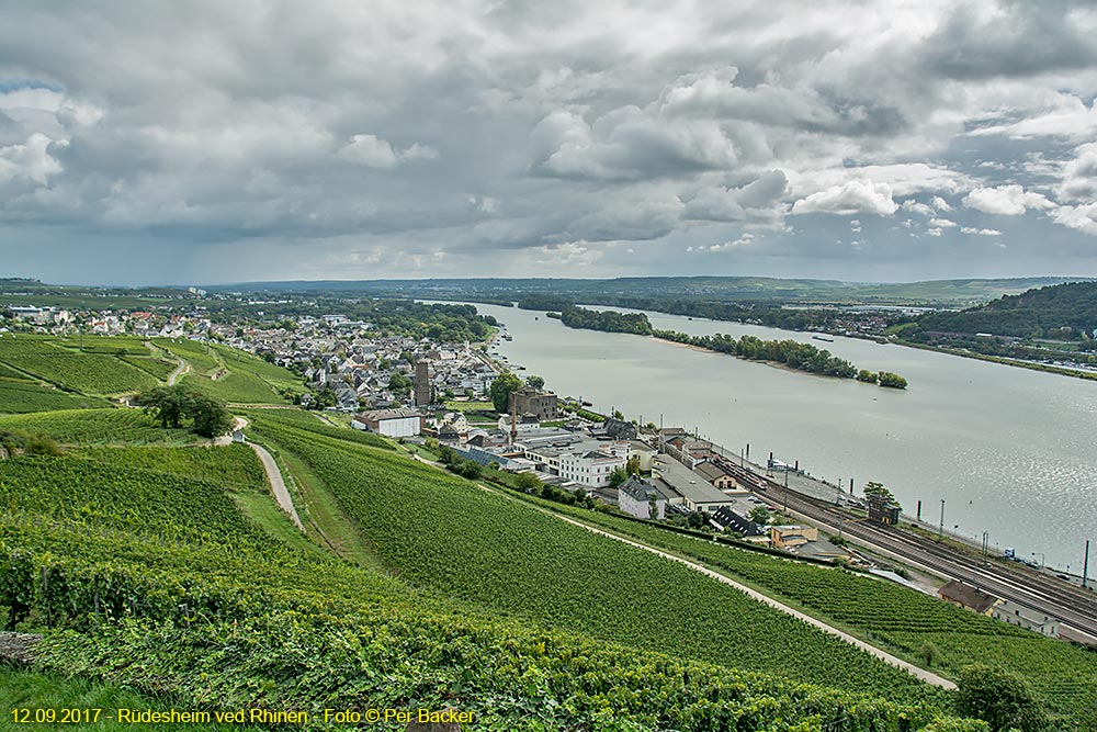 Rüdesheim ved Rhinen