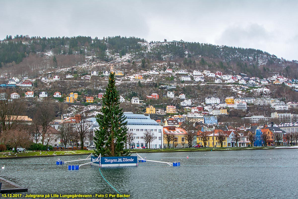 Julegrana på Lille Lungegårdsvann