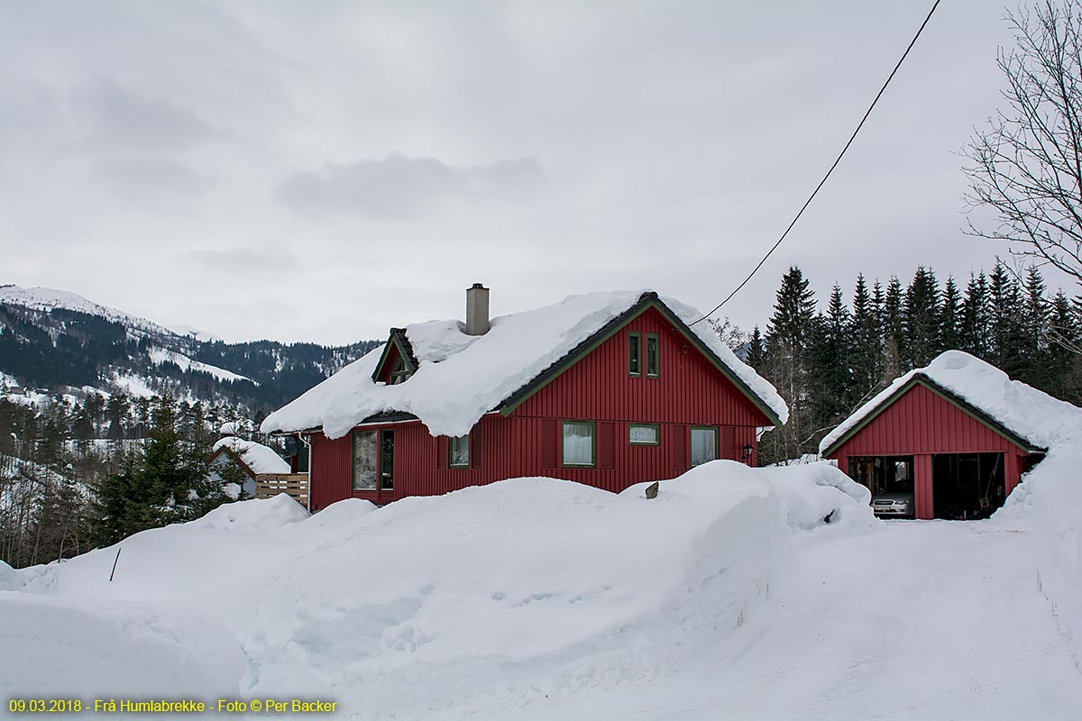 Frå Humlabrekke