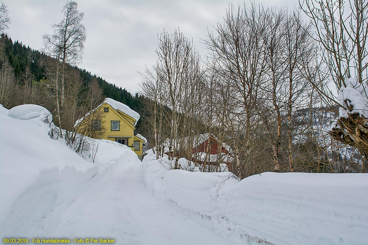 Frå Humlabrekke