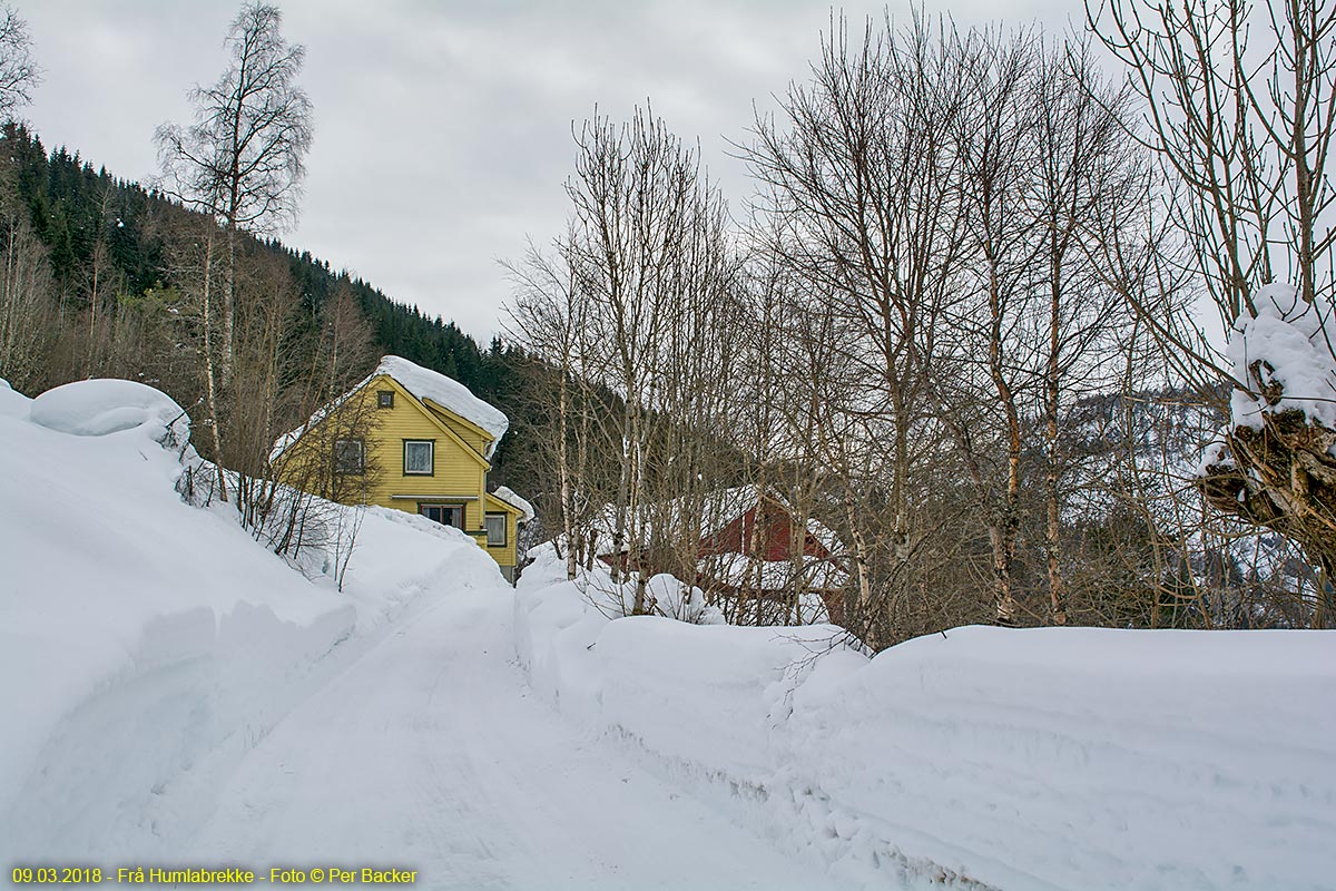 Frå Humlabrekke