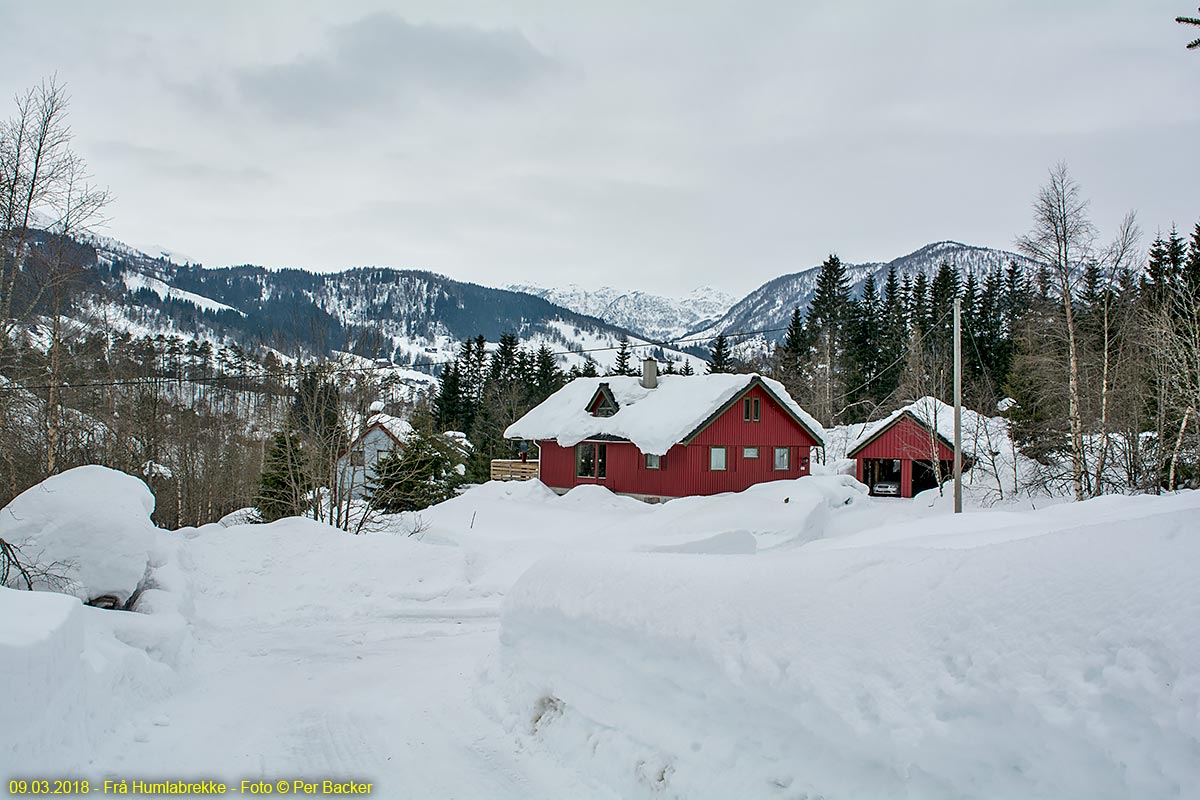 Frå Humlabrekke