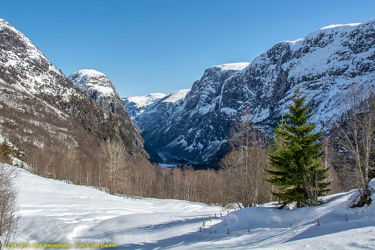 Mot Nærøydalen