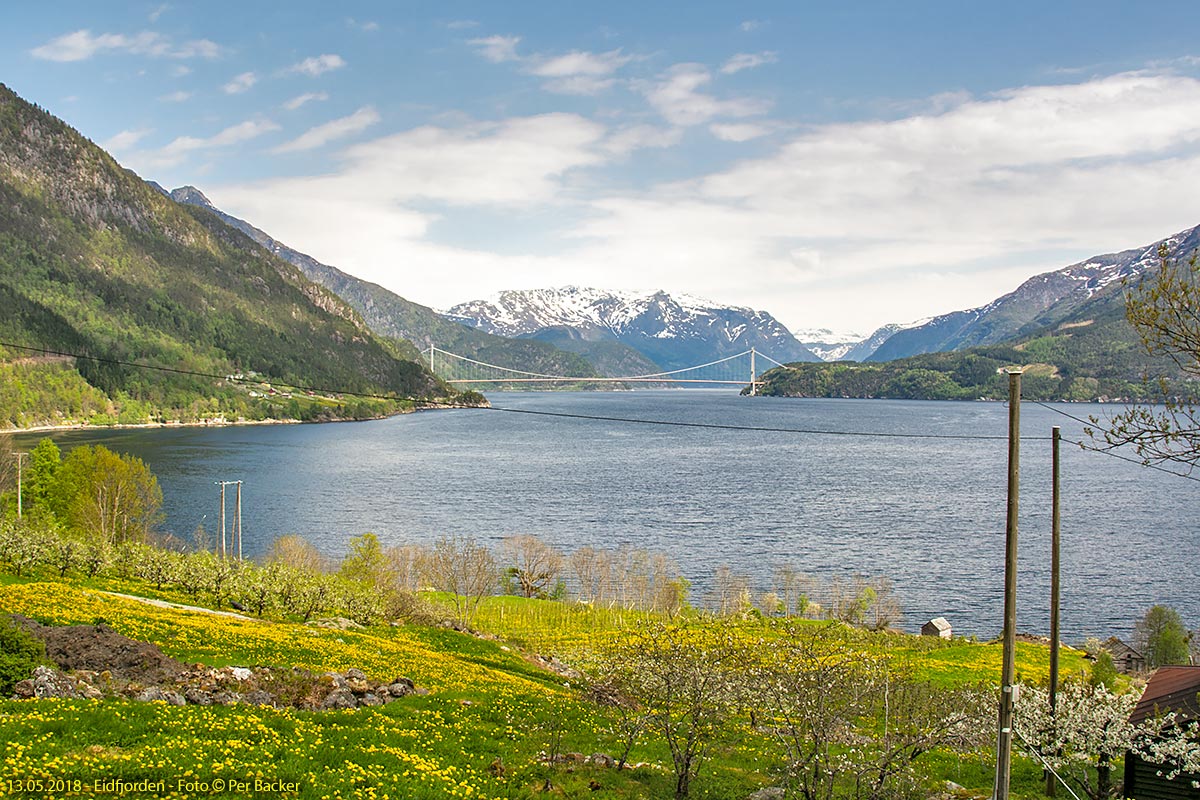 Eidfjorden