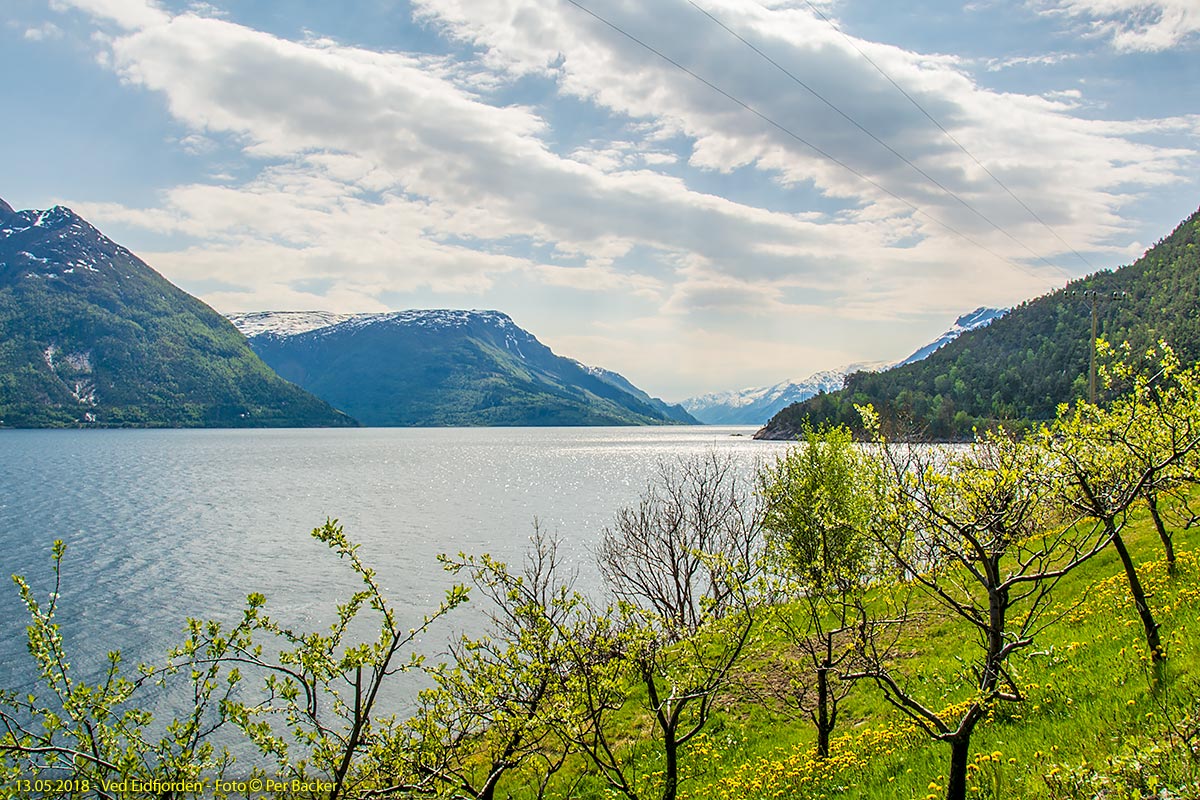 Ved Eidfjorden