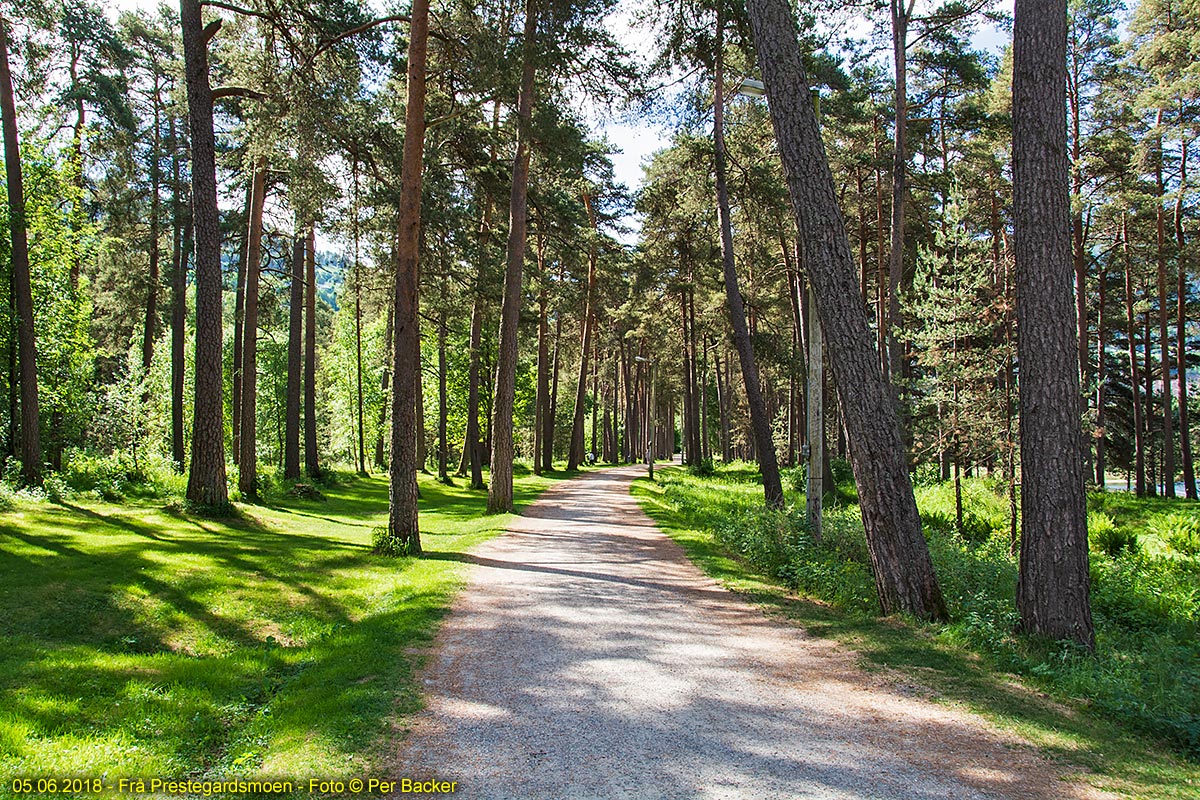 Frå Prestegardsmoen