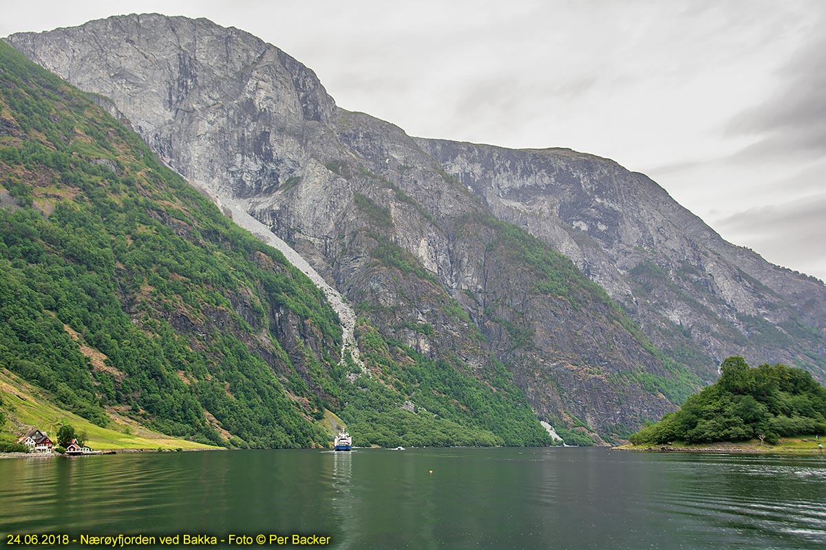 Nærøyfjorden ved Bakka