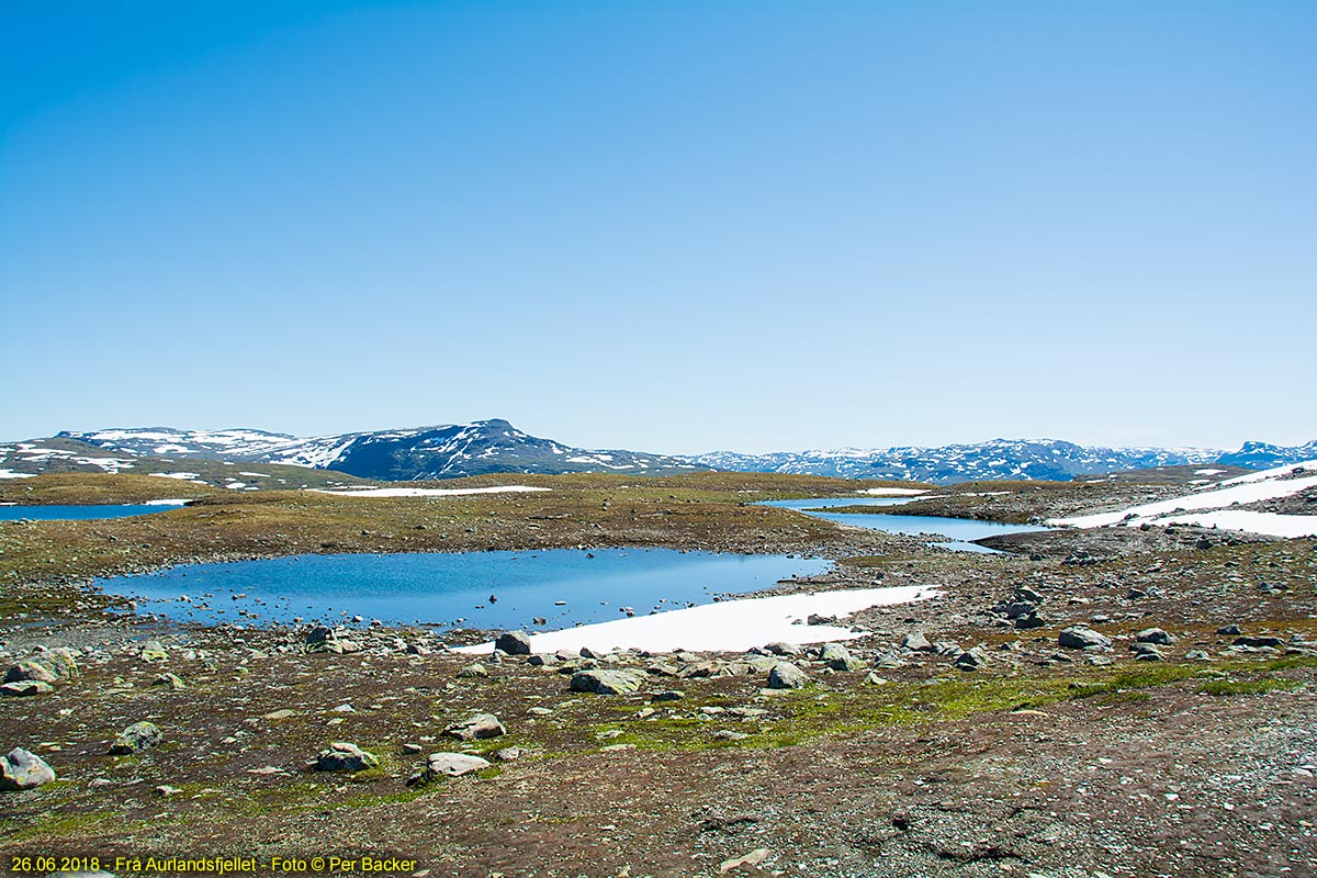 Frå Aurlandsfjellet